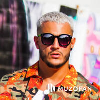 Dj Snake
